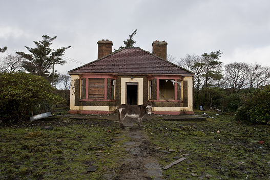 vacant house insurance